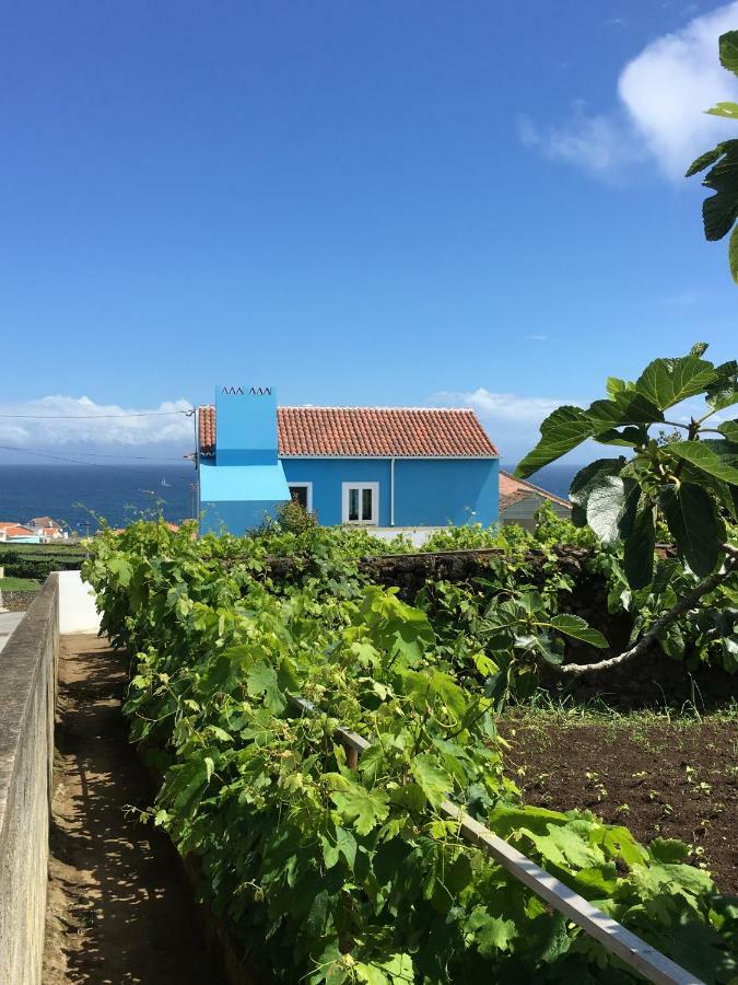 Casa Do Vizinho Villa Porto Judeu Eksteriør bilde
